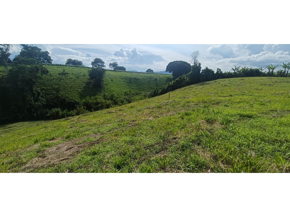 Se Vende Lote Vía Montenegro - Quimbaya - Quindío — foto 5