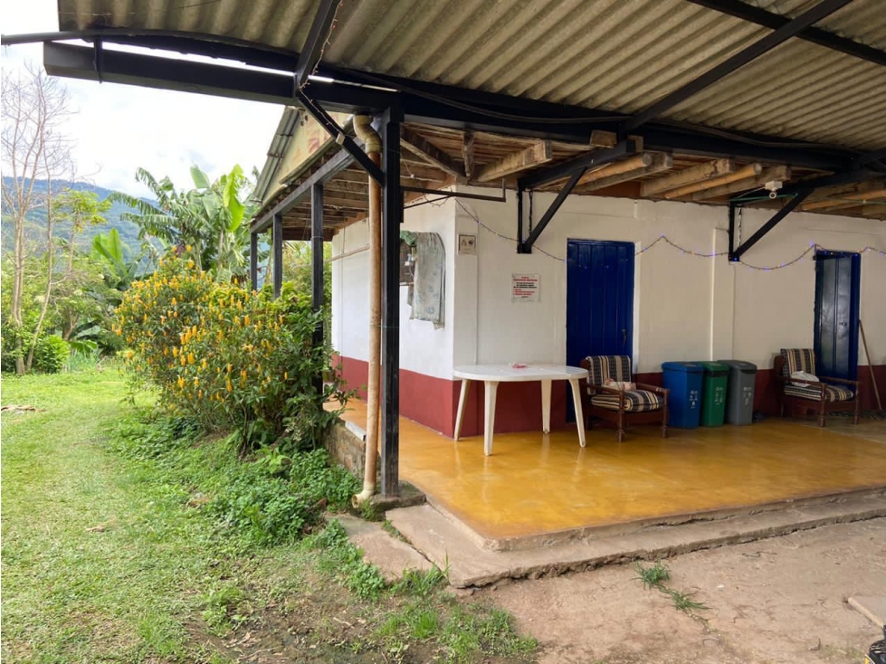 Se Vende Finca Porcicola y Agricola En Sevilla - Valle Del Cauca - 4