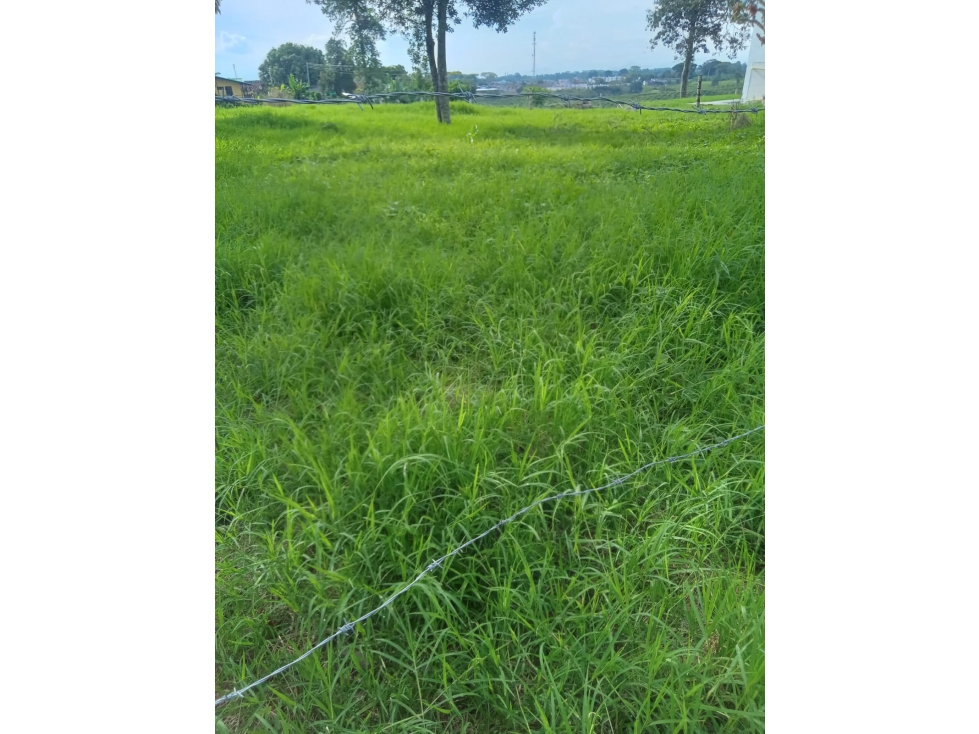 Se Vende Lote en Quimbaya - Quindío. — foto 5