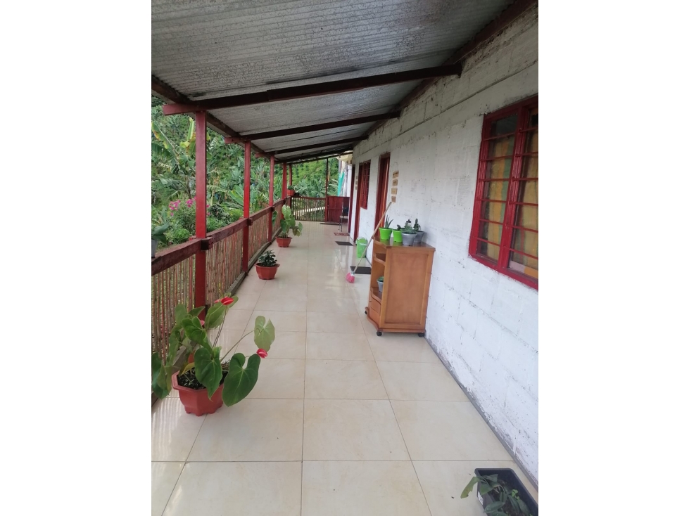 Se Vende Finca en Cordoba - Quindío. — foto 4