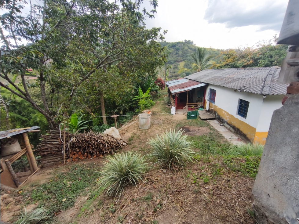 Se Vende Finca en Cordoba - Quindío. - 3