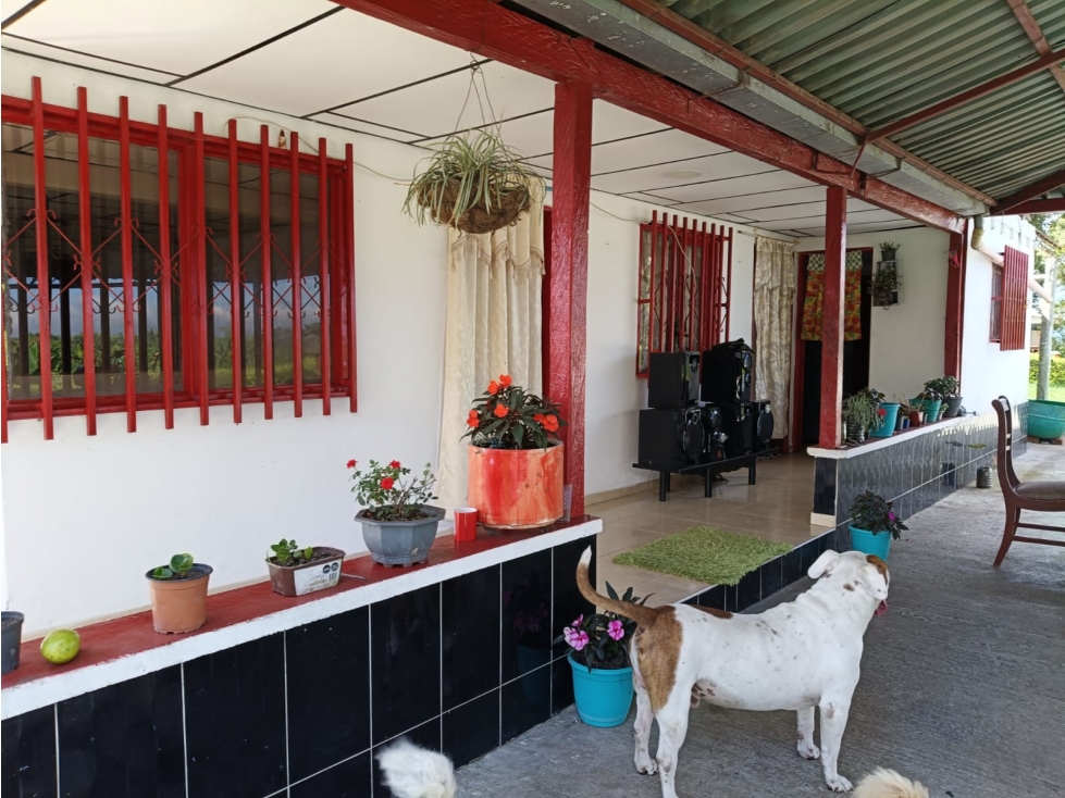 Se vende Finca S. La Cristalina Circasia Quindío