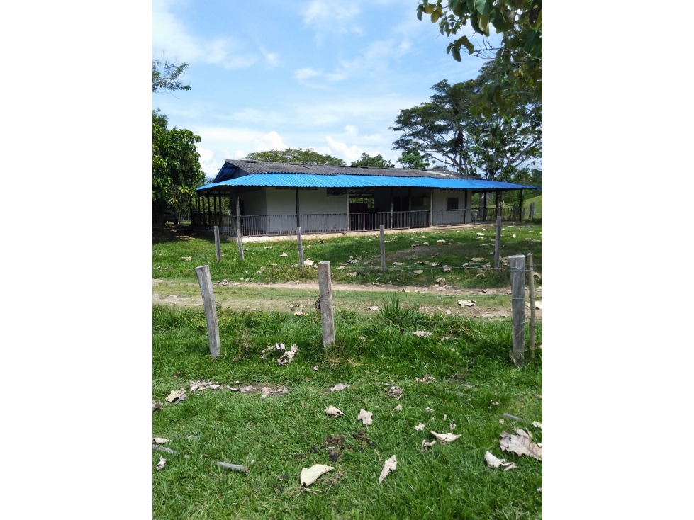 Se vende Finca Ganadera en Puerto Boyacá - 2
