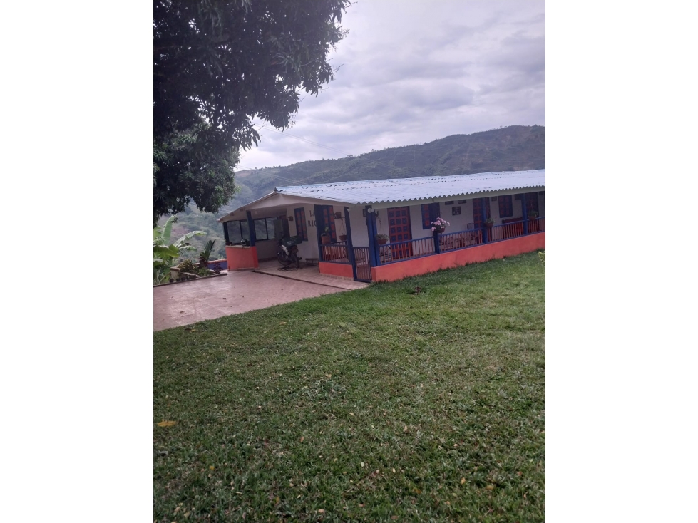 Se Vende Finca Belalcázar, Caldas - 3