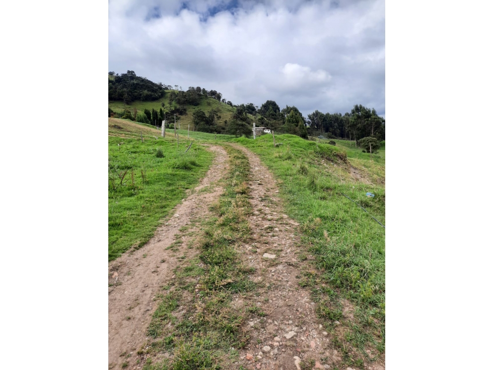 Se Vende Finca De 20 Cuadras En Cundinamarca - 6