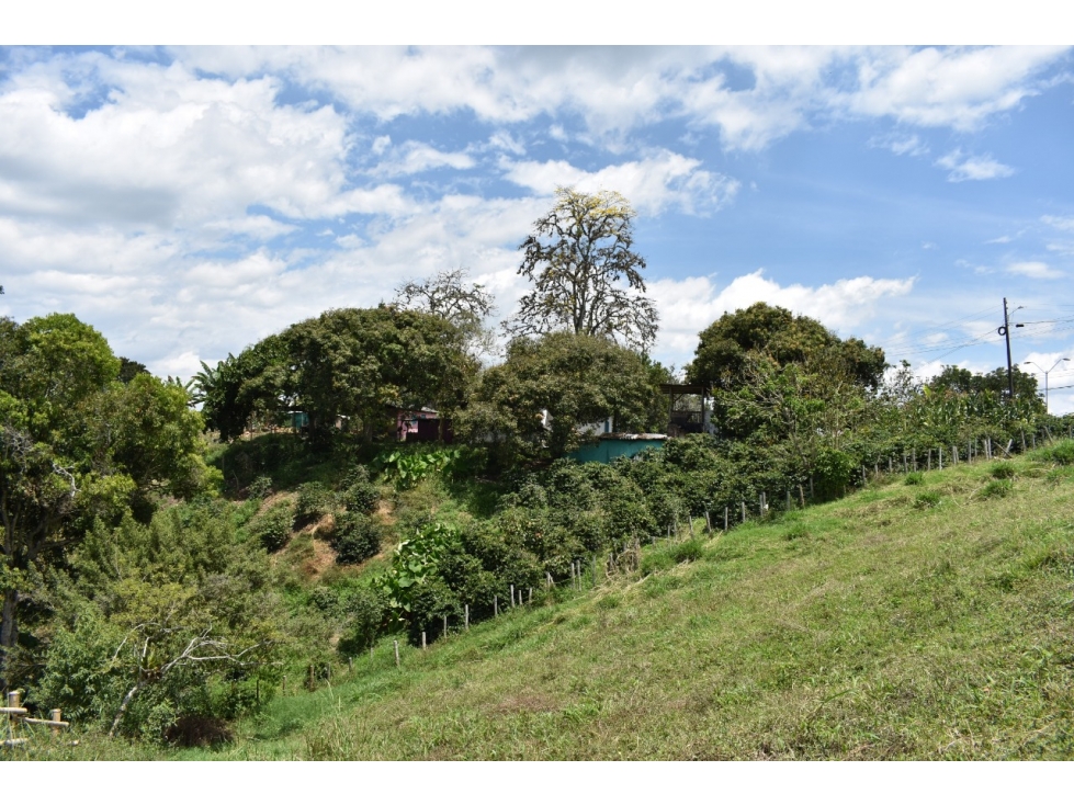 Se vende Lote en Quimbaya Quindío - 6