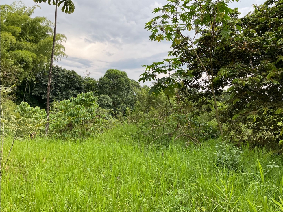 Se vende Lote en La Y de Calarcá - Armenia Quindío - 6