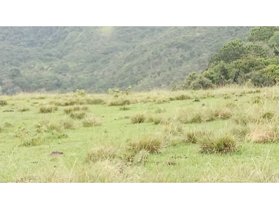 Se vende Finca Trujillo - Valle del Cauca - 6