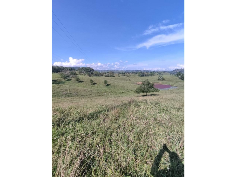 Se Vende Finca En Cerritos - Risaralda — foto 6