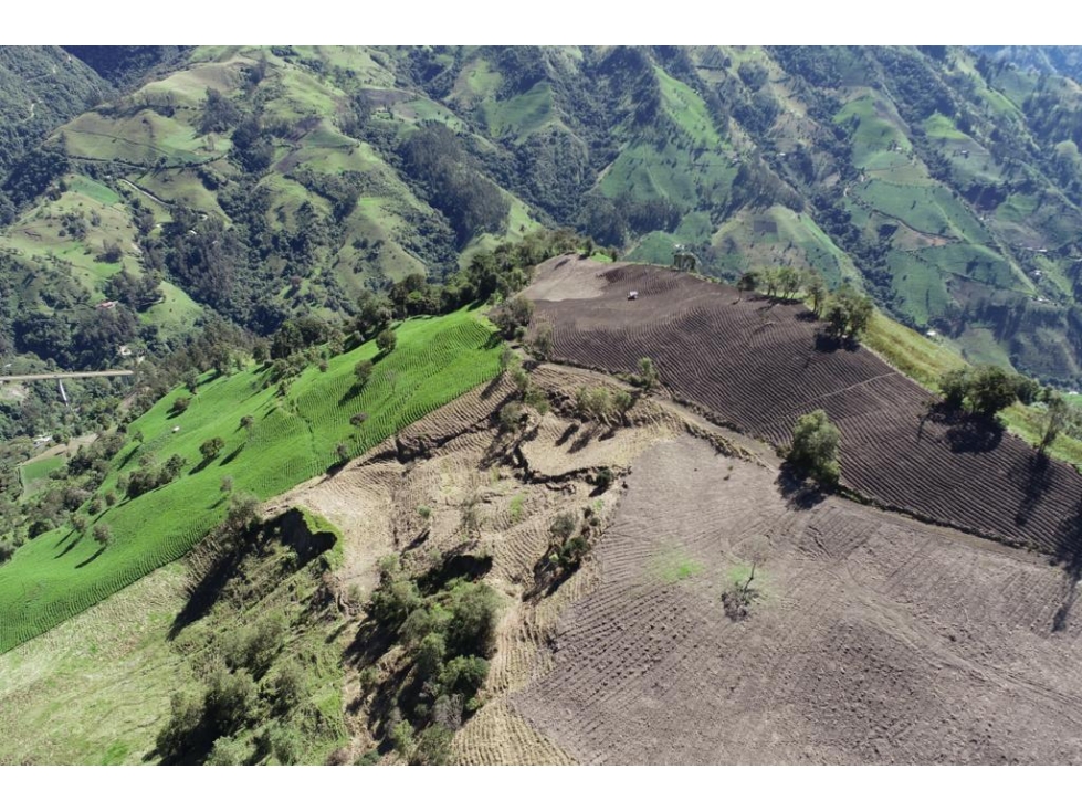 Se vende Finca Cajamarca Tolima - 5