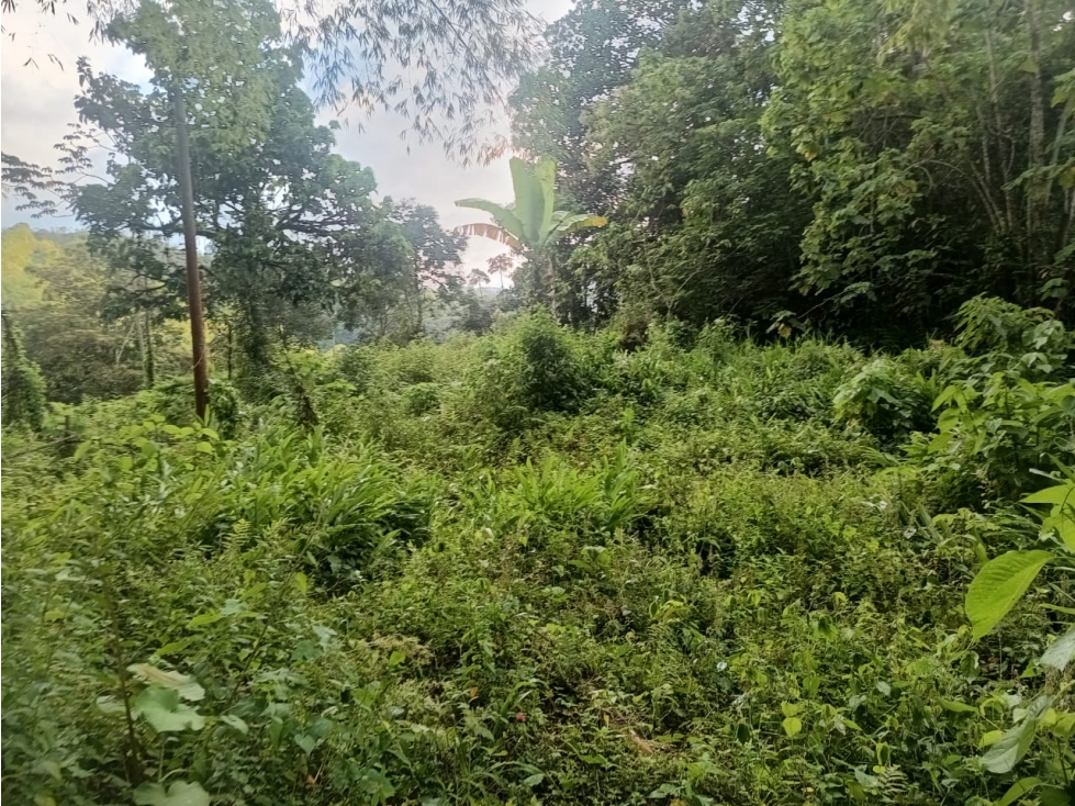 Se Vende Lote En Salento Quindío — foto 6
