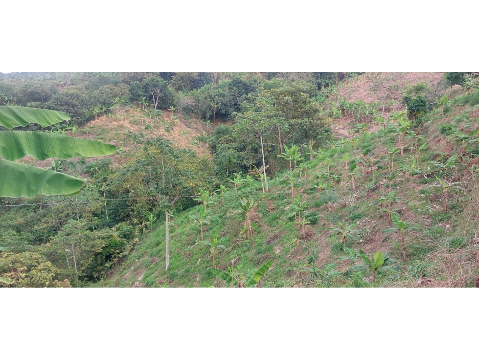 Se vende Finca Sardineros Córdoba — foto 6