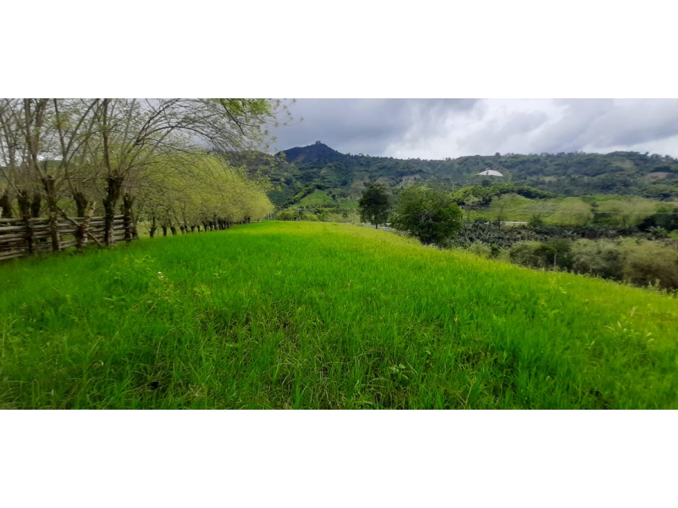 Se Vende Finca Ganadera Entre Barragan - Río Verde. — foto 6
