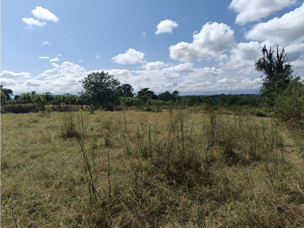 Se Vende Lote En Montenegro — foto 6