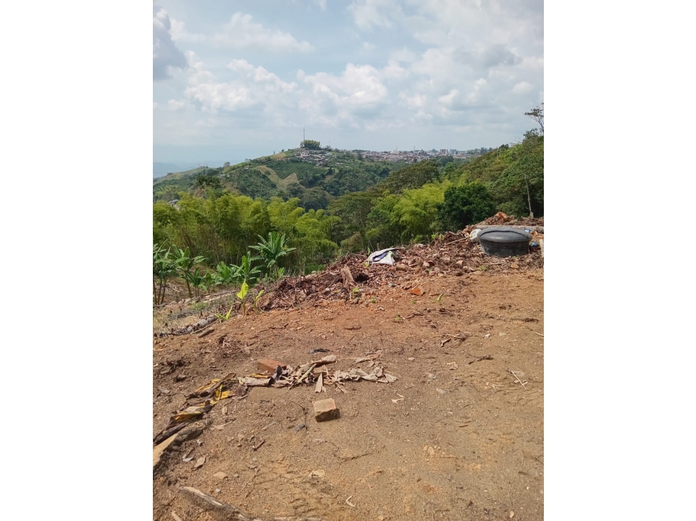 Se Vende Finca En Sevilla - Valle Del Cauca - 6
