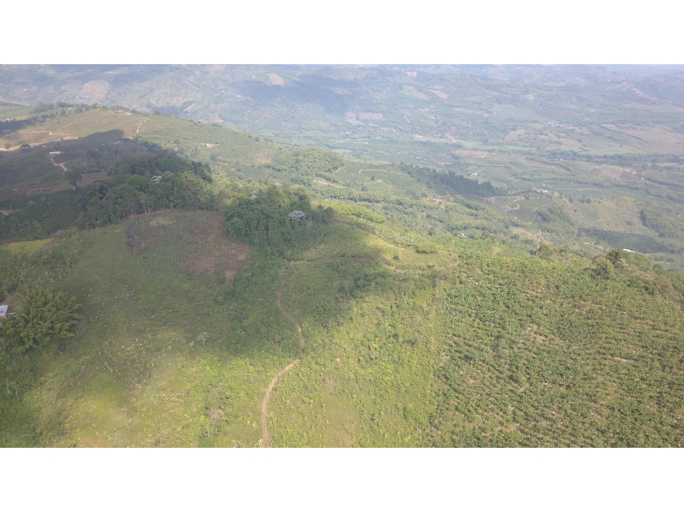 Se vende Finca En Caicedonia - Valle Del Cauca - 6