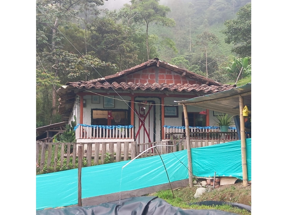 Se Vende Finca En Cordoba - Quindío - 1