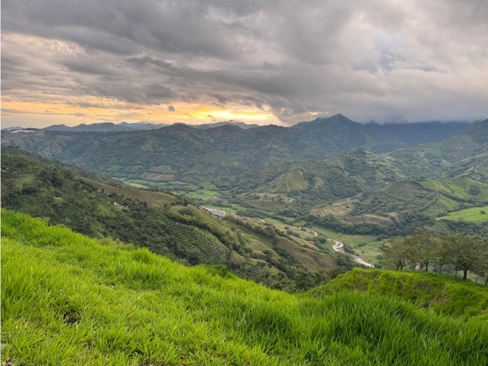 Se Vende Finca Ganadera En La Virginia - Risaralda - 5