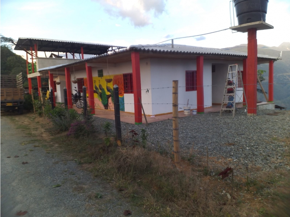 Se Vende Finca En Pijao Quindío - 4