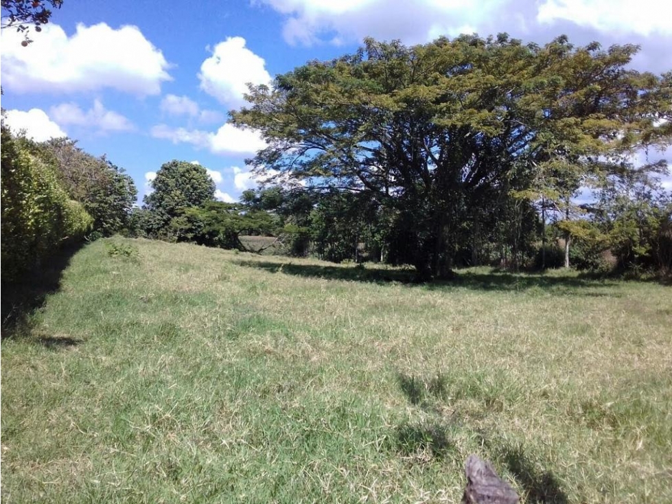 Se Vende Lote En Montenegro - Quindío — foto 3