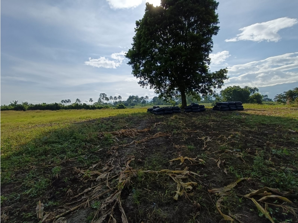 Se Vende Lote Vía Montenegro - La Tebaida - Quindío — foto 6
