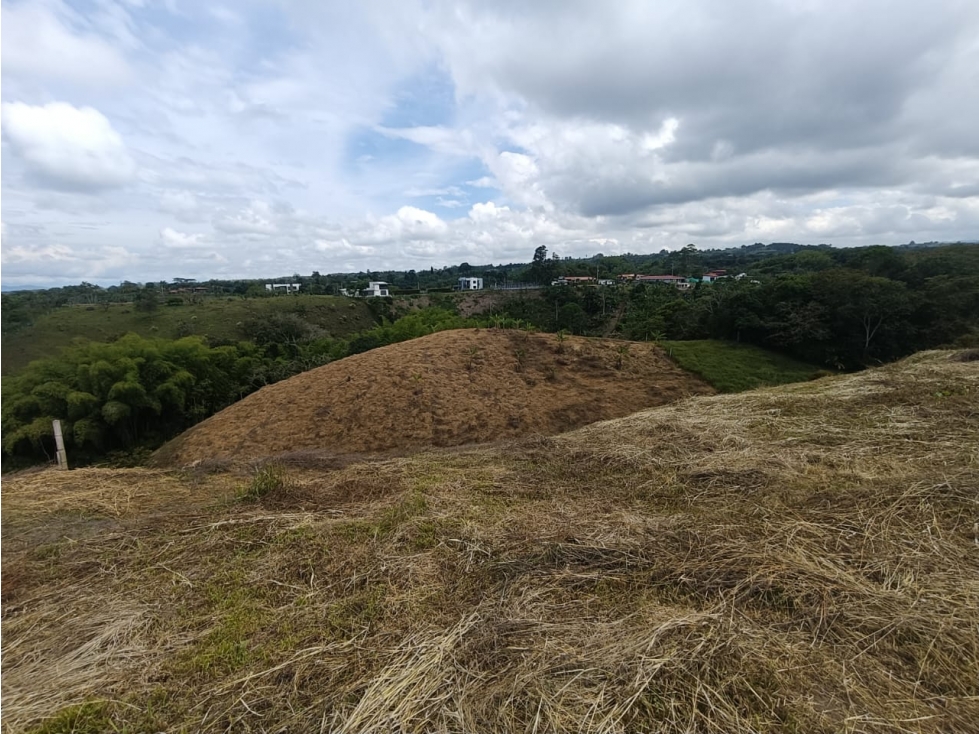 Se Vende Lote En Hojas Anchas - Armenia - Quindío — foto 6