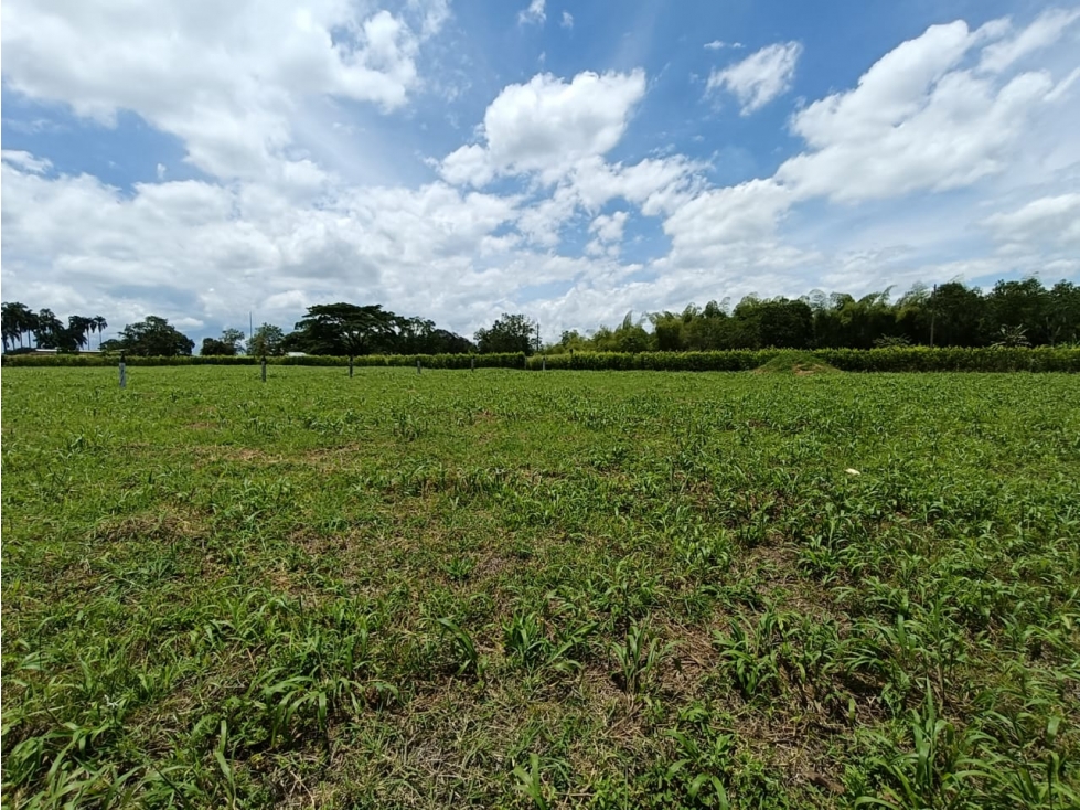 Se Vende Lote En Montenegro - Quindío