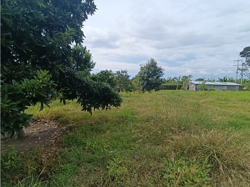 Se Vende Lote En Pueblo Tapao - Quindío — foto 6