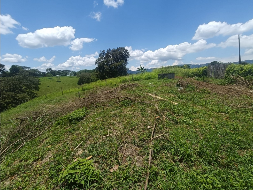 Se Vende Lote En Quimbaya - Quindío - 6