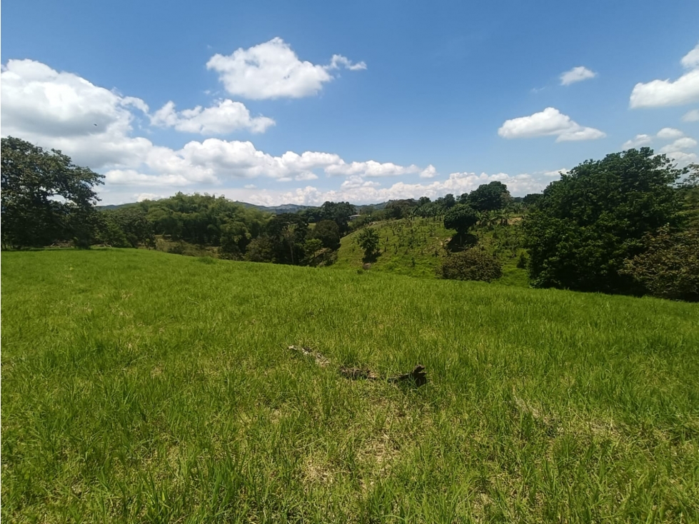 Se Vende Lote En Quimbaya - Quindío - 6