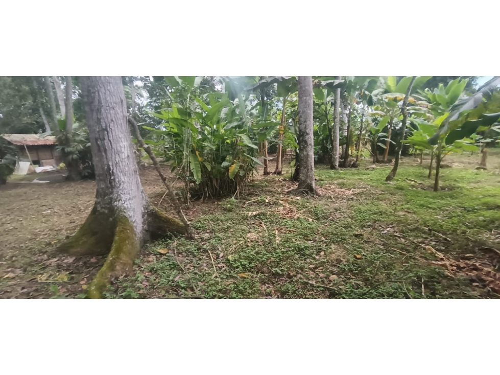 Se Vende Lote S. Via Puerto Espejo - Pueblo Tapao — foto 6
