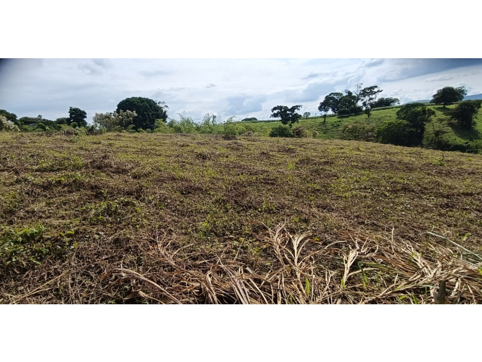 Se Vende Lote Vía Montenegro - Quimbaya - Quindío — foto 5