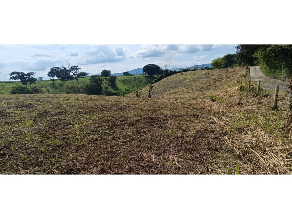 Se Vende Lote Vía Montenegro - Quimbaya - Quindío — foto 6