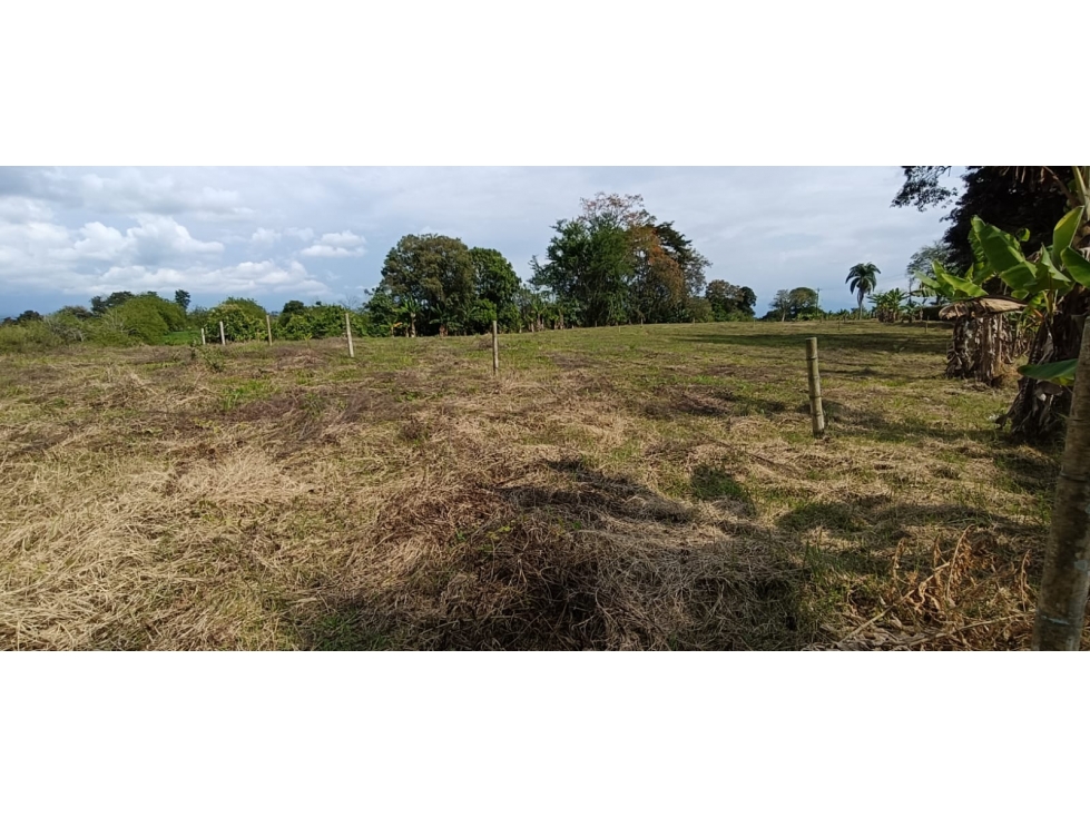 Se Vende Lote Vía Montenegro - Quimbaya - Quindío — foto 5
