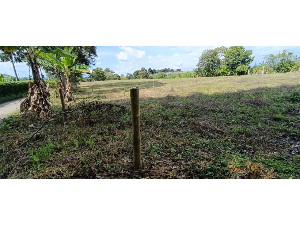 Se Vende Lote Vía Montenegro - Quimbaya - Quindío — foto 6