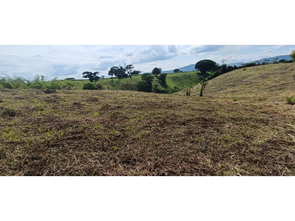 Se Vende Lote Vía Montenegro - Quimbaya - Quindío — foto 5