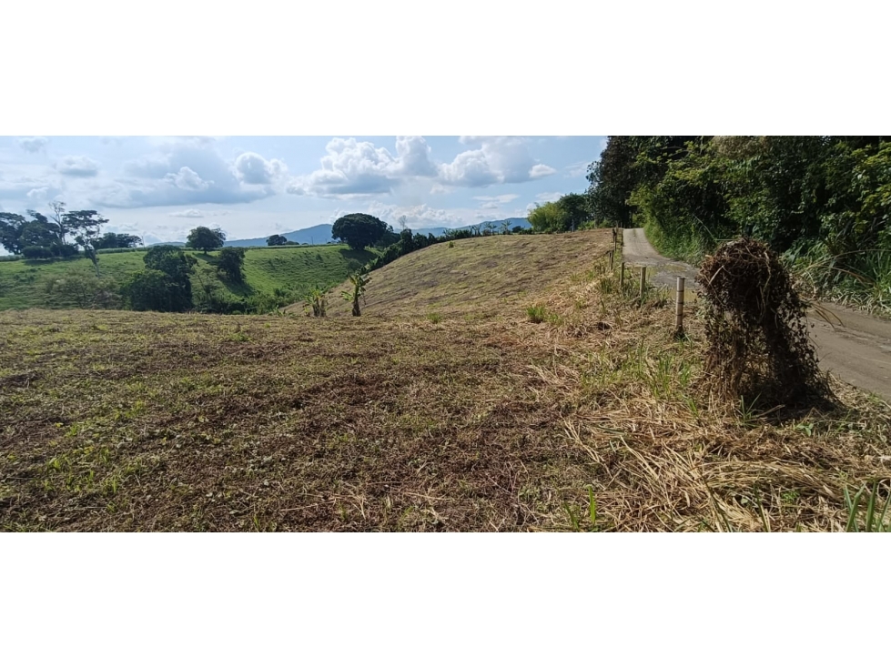 Se Vende Lote Vía Montenegro - Quimbaya - Quindío — foto 5