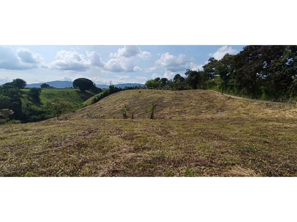 Se Vende Lote Vía Montenegro - Quimbaya - Quindío — foto 3
