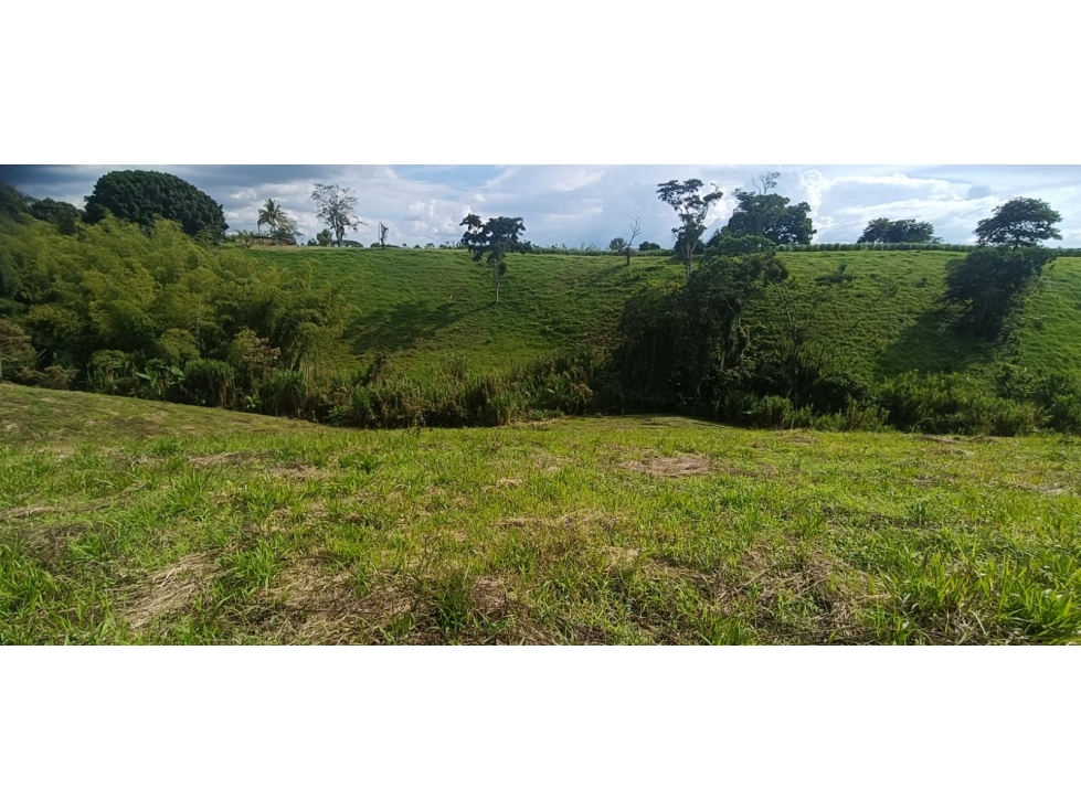 Se Vende Lote Vía Montenegro - Quimbaya - Quindío — foto 6