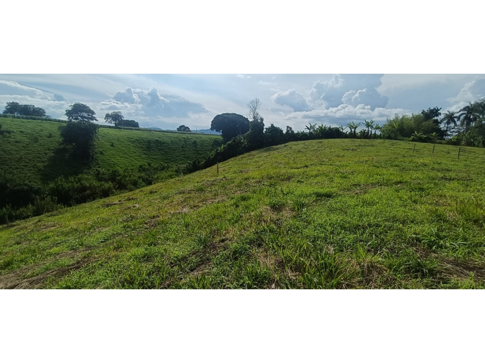 Se Vende Lote Vía Montenegro - Quimbaya - Quindío — foto 6