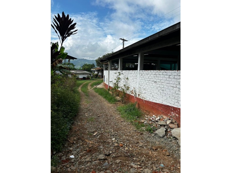 Se Vende Finca Porcicola y Agricola En Sevilla - Valle Del Cauca - 5