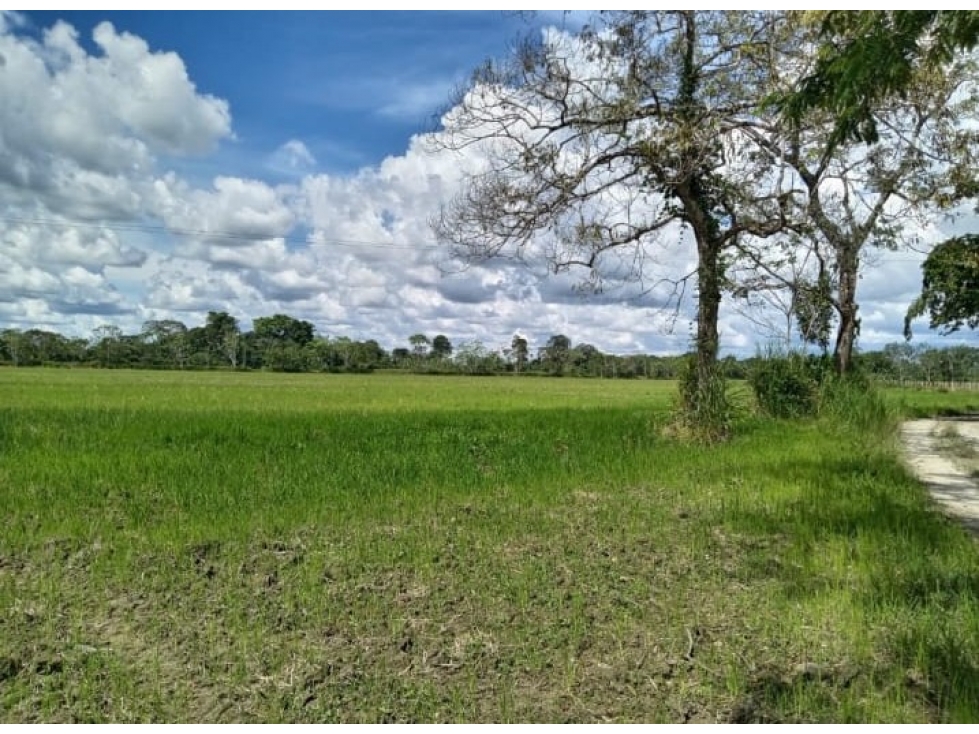 Se Vende Finca En Fuente de oro - Meta - 4