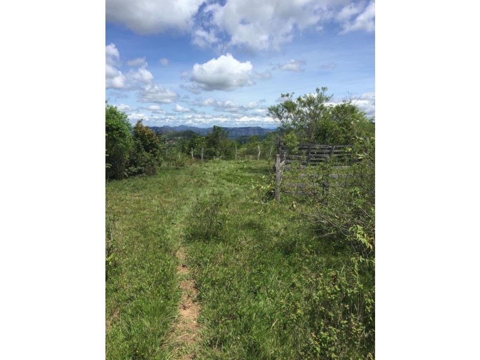 Se Vende Finca en San Luis - Ibague - 6
