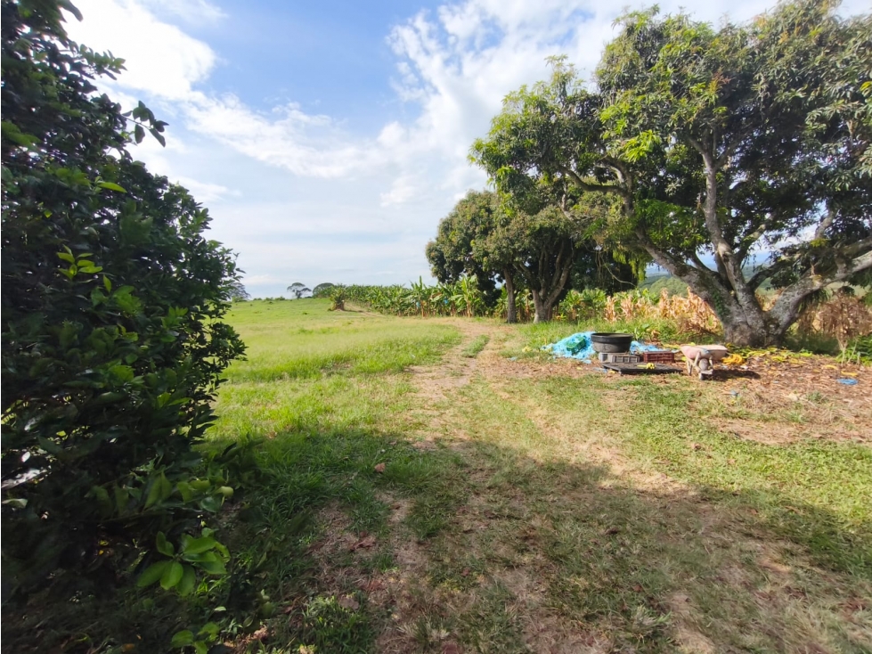 Se Vende Finca en Quimbaya - Quindío. - 6