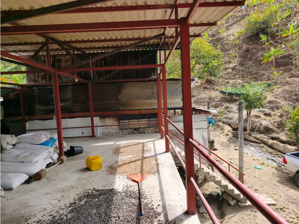 Se Vende Finca Ubicada en Genova - Quindío. - 6