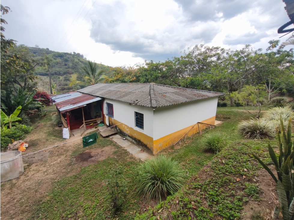 Se Vende Finca en Cordoba - Quindío. - 1