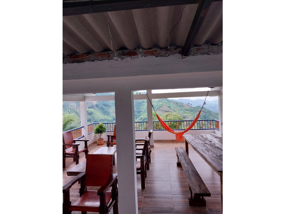 Se Vende Finca Belalcázar, Caldas - 6