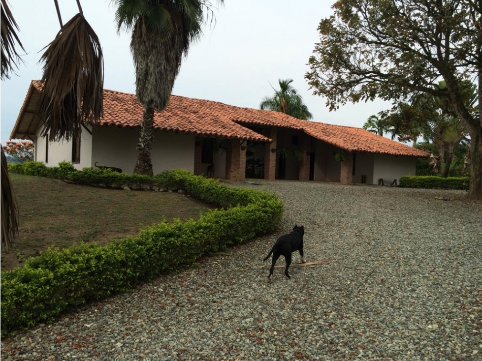 Se vende Finca En Caicedonia - Valle Del Cauca - 1