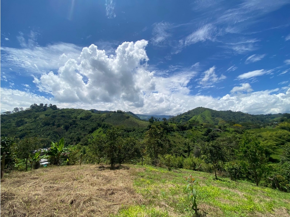 Se Venden Lotes En Santa Rosa De Cabal - Risaralda - 3