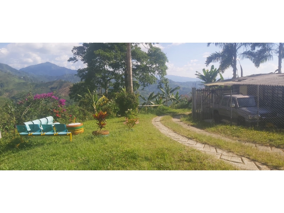 Se Vende Finca En Cordoba - Quindío - 3